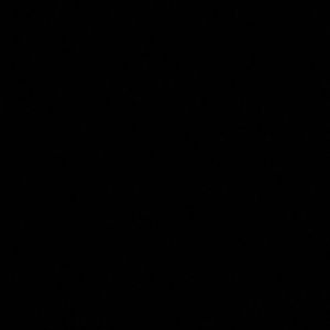 Meet your Posher, Anais